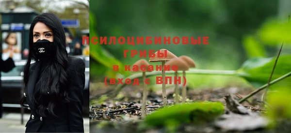 ALPHA-PVP Алексеевка