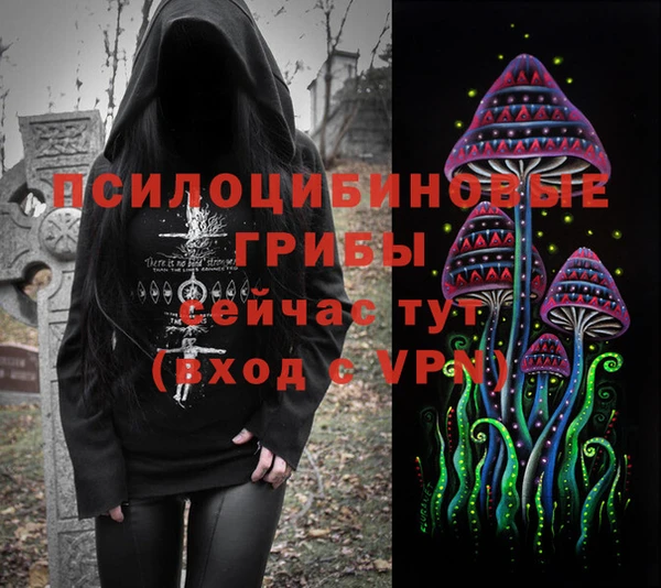 прущий лед Алзамай