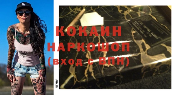 прущий лед Алзамай
