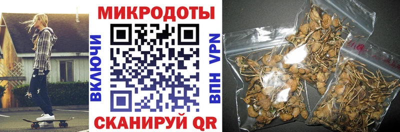 цены   Калач-на-Дону  ОМГ ОМГ сайт  Псилоцибиновые грибы Psilocybine cubensis 